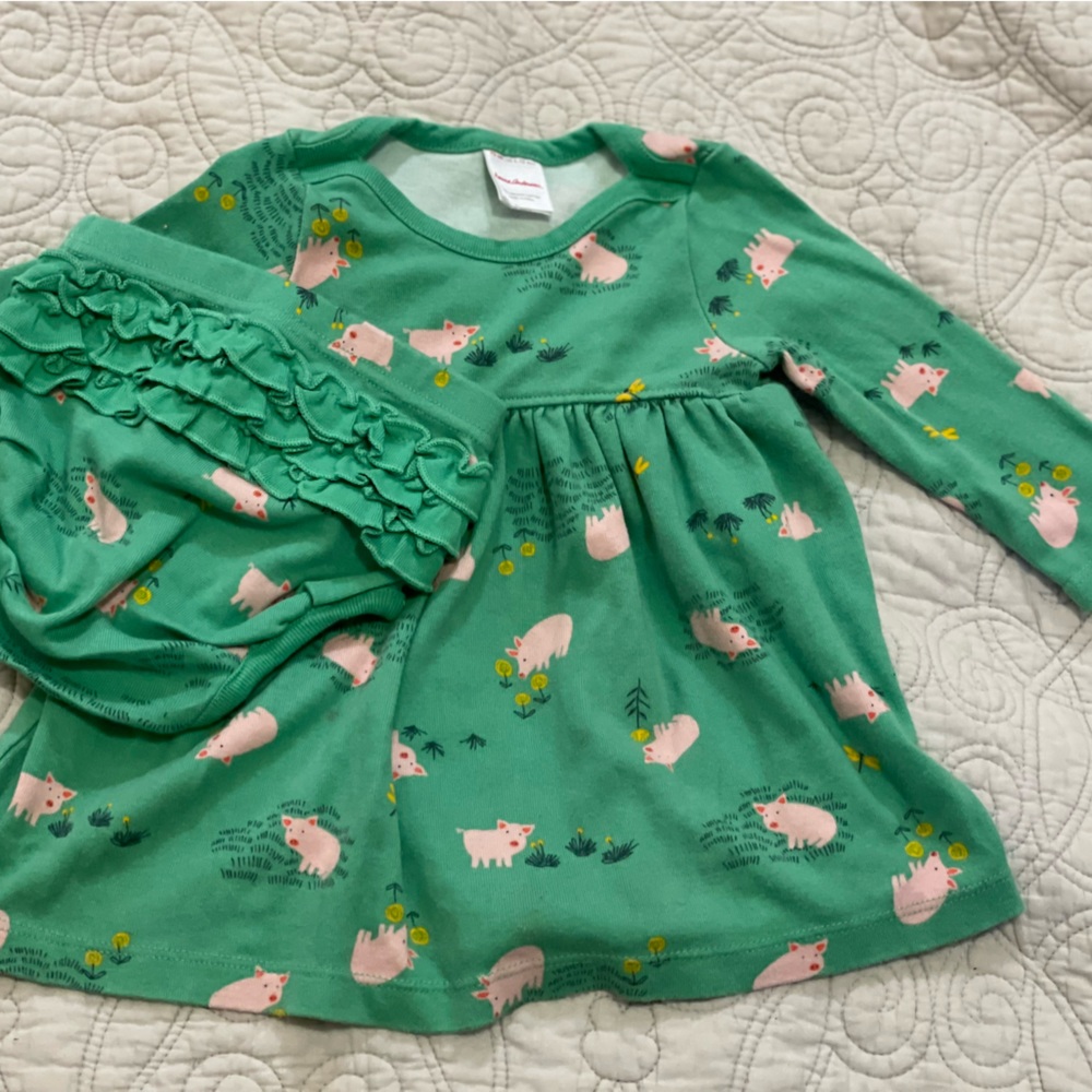 Hanna Andersson Pig Dress
